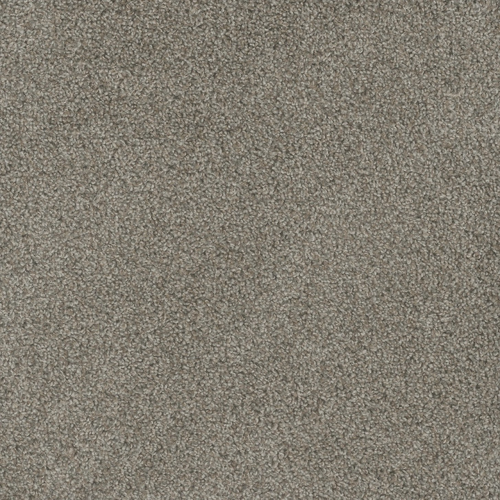 DreamWeaver Mill Creek I Carpet - Georgia Carpet