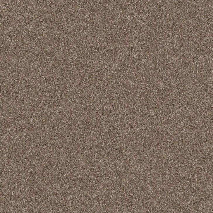 Shaw Pet Perfect Yes You Can II 12' 5E569 Residential Carpet