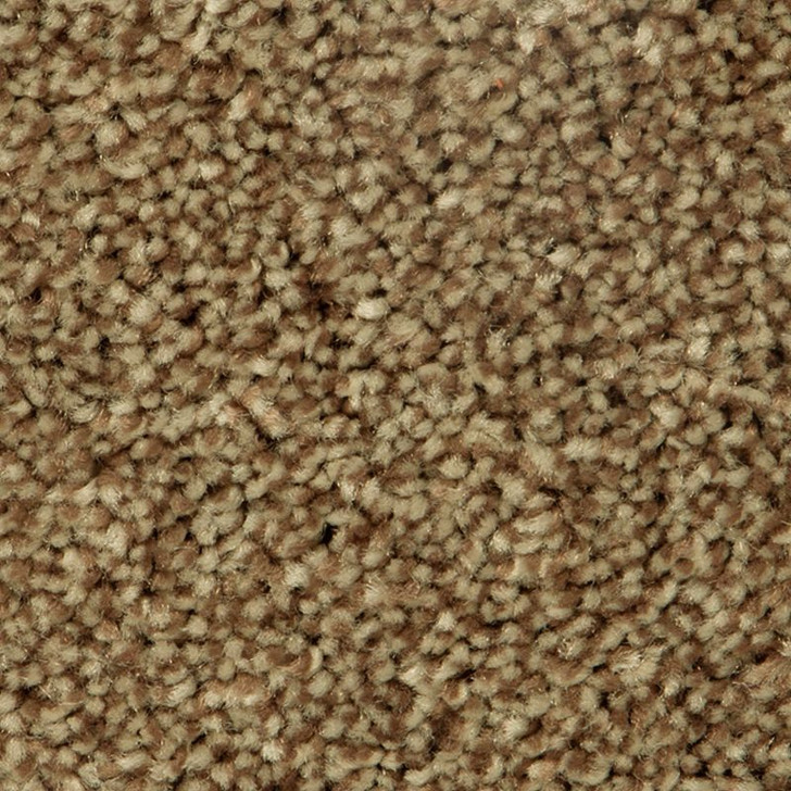 Mohawk EverStrand Distinct Beauty I 2W53 Residential Carpet