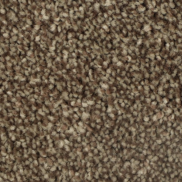 Mohawk EverStrand Distinct Beauty II 2W54 Residential Carpet