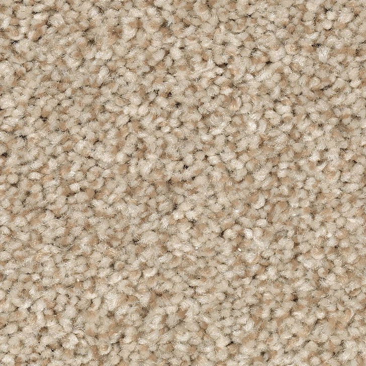 Mohawk EverStrand Tonal Chic II 2N81 Residential Carpet