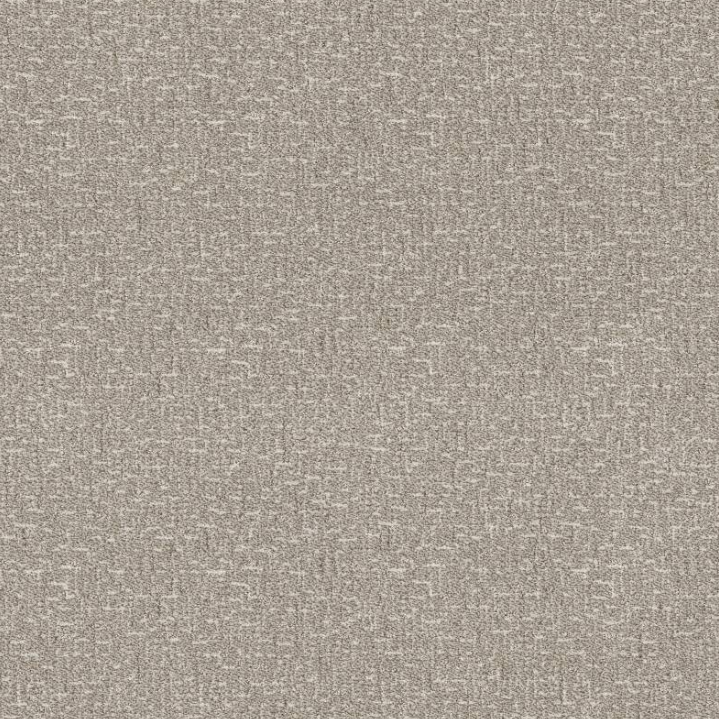 Anderson Tuftex Pet Perfect Plus Knickknack ZZ271 Residential Carpet