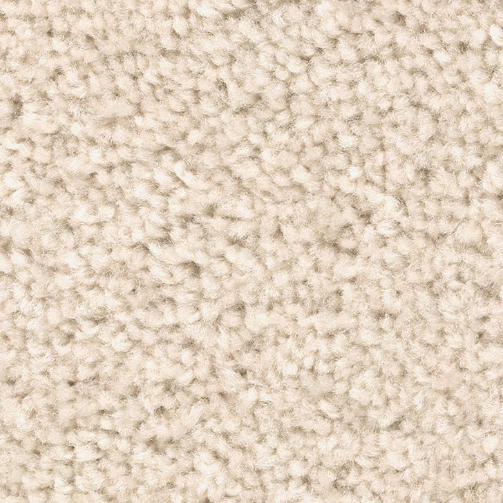Buy Mohawk Treasure Valley 2U72 Residential Carpet for A Great Price