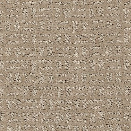 Buy Mohawk SmartStrand Flawless Vision Online at Georgia Carpet