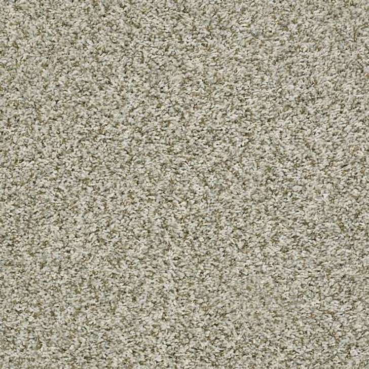 Shaw Break Away Tonal 5E244 Broadloom Residential Carpet