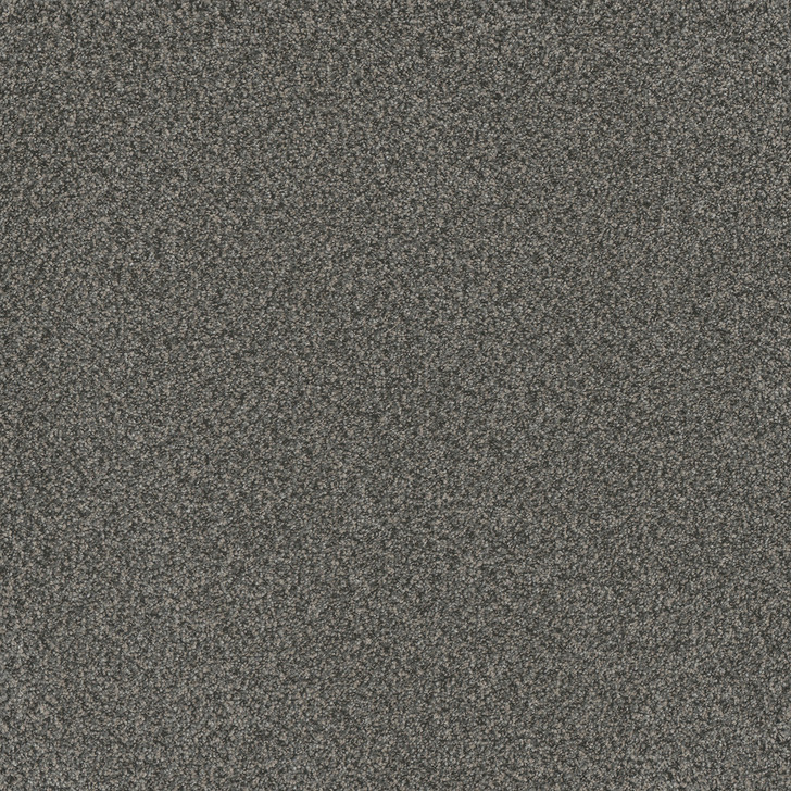 Buy Dreamweaver Titan III 4965 Carpet at Georgia Carpet for Great