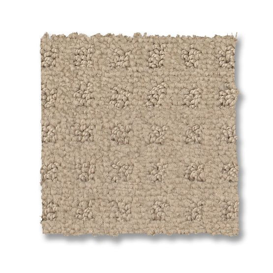 Anderson Tuftex Reawaken Del Vista ZZ262 Carpet