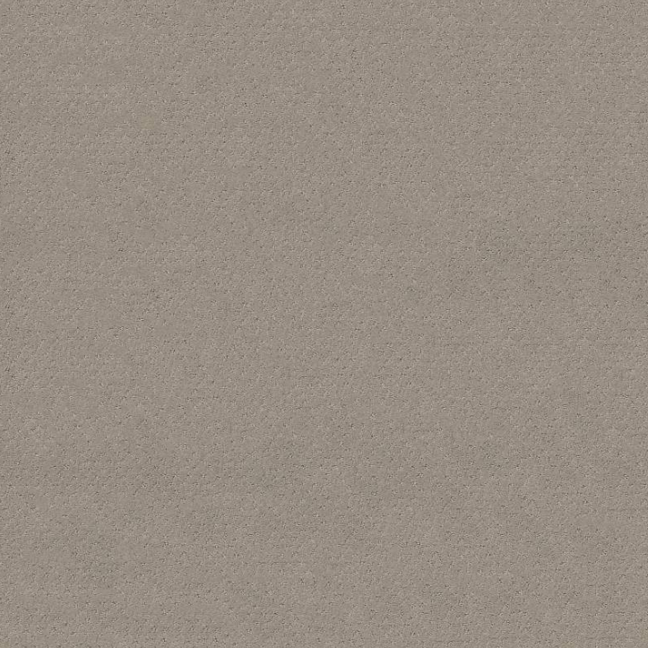 Shaw Floors Del Vista ZZ262 Residential Carpet