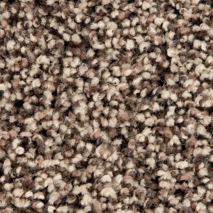 Buy Mohawk Forever Fresh Ultrasoft Soft Accolade II Carpet for A
