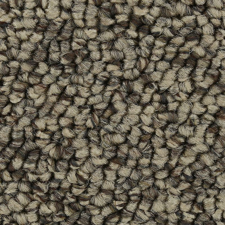 Buy Mohawk Everstrand Pure Wonder Residential Carpet for A Great