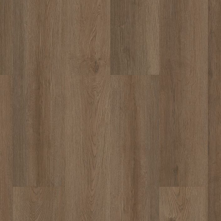 Shaw Philadelphia Indwell 8 5660V LVP 2mm ExoGuard+ | Georgia Carpet