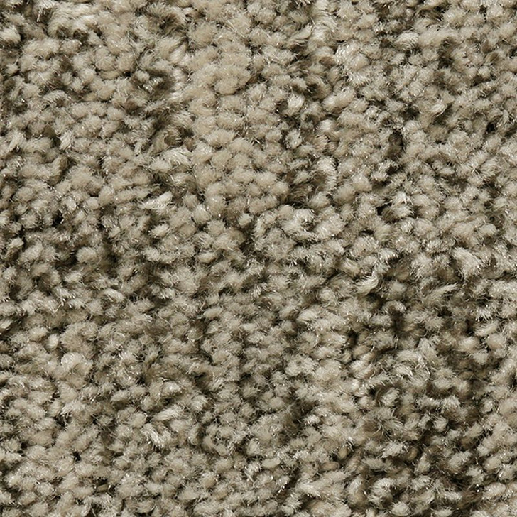 Mohawk Everstrand Random Nature 2V38 Residential Carpet