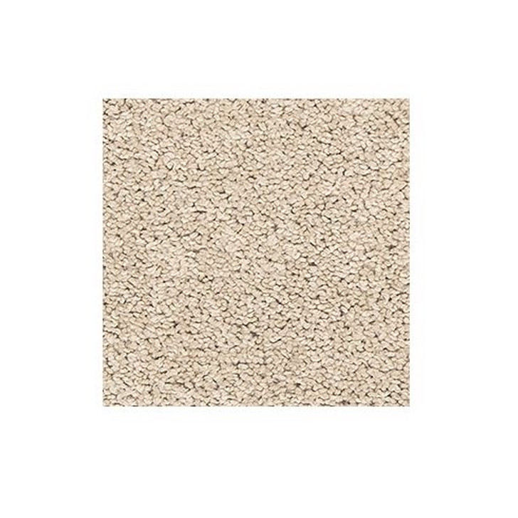 Buy Mohawk Everstrand Tectonic Residential Carpet for A