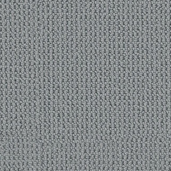 パーマネントバケーション　シェイキーハウンド Anderson Tuftex Arden Park ZZ286 Residential Carpet