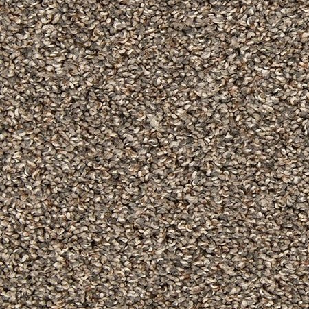 Buy Mohawk Everstrand Color Classics II Residential Carpet for A