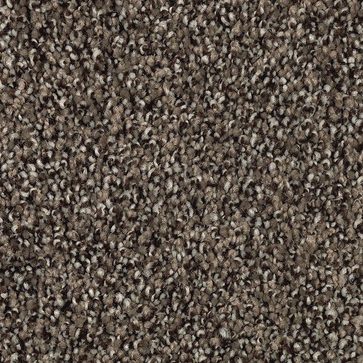 ＊新品⭐️glamorous garden / size S ＊ Buy Godfrey Hirst EverLux Residential Carpet for A Great Value at