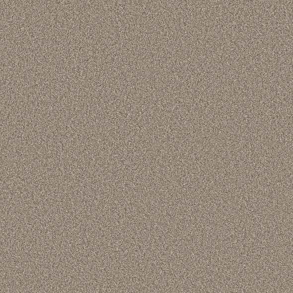 Buy Shaw Colorwall Tweed Comfort II at Georgia Carpet for a Low Price