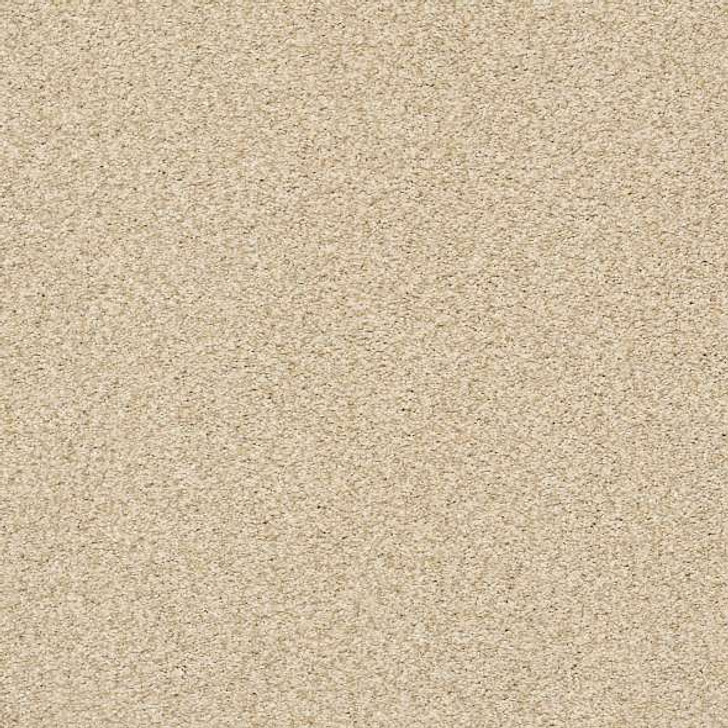 Shaw Anso Colorwall Tonal Comfort I 5E656 Residential Carpet