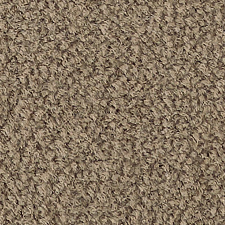 モウモウ Buy Mohawk Influencer 30 2B207 Residential Carpet for A Great Value