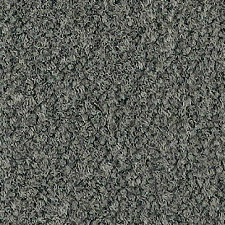 Buy Mohawk Influencer 36 2B208 Residential Carpet for A Great Value