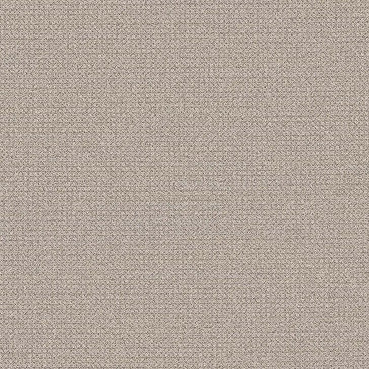 Buy DW Select Montreal Carpet at Georgia Carpet for a Great Price!