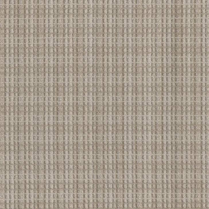 DW Select Suffolk 8910 Residential Carpet at Georgia Carpet for