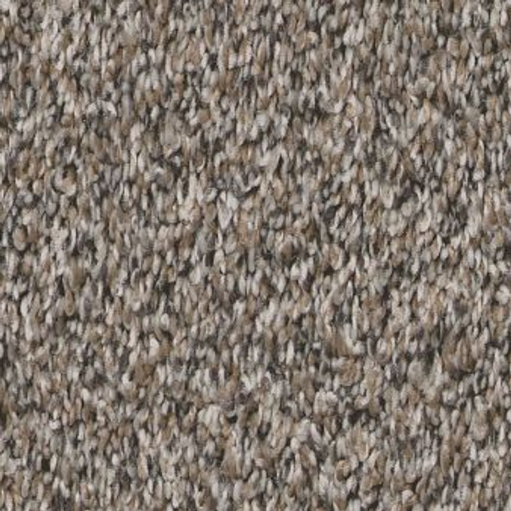  Shaw Remixed Classic Pet Perfect 5E679 Residential Carpet 