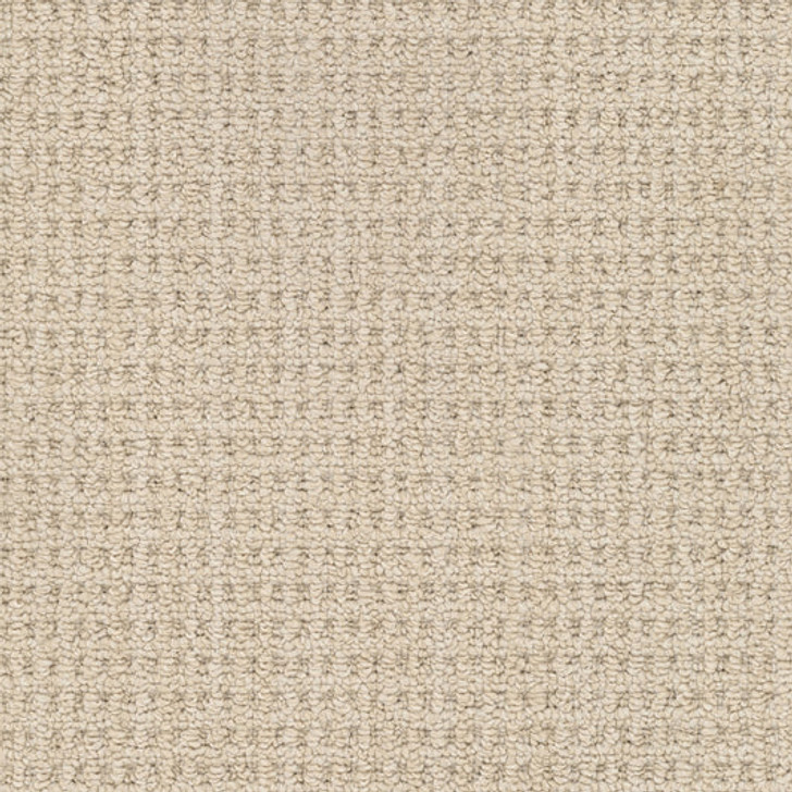 Masland Winslow 9695 Residential Carpet