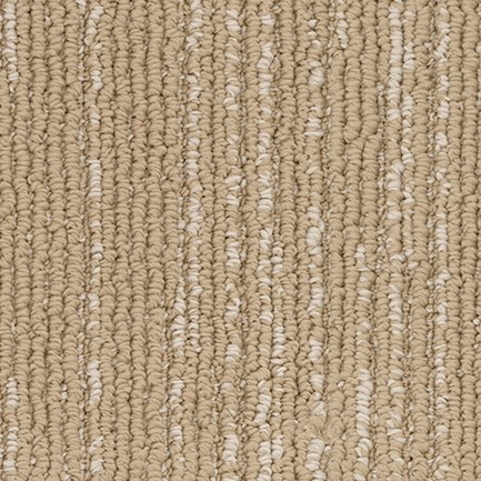 Buy Revolution Mills Branson Residential Carpet at Georgia Carpet