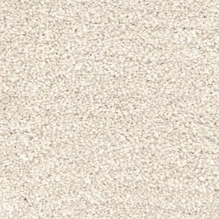 Buy Revolution Mills Magic Moment II Residential Carpet at Georgia