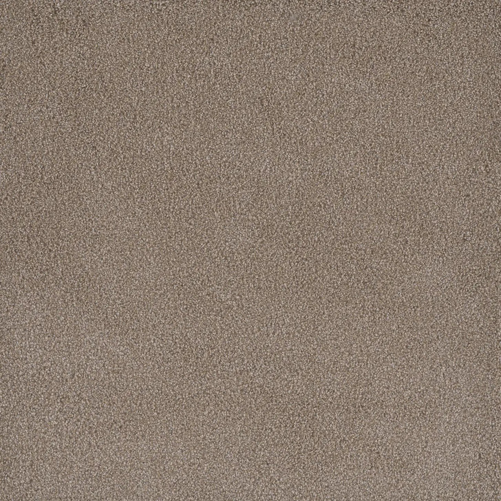 Dreamweaver Palmetto I 2732 Carpet at Georgia Carpet for Great Value