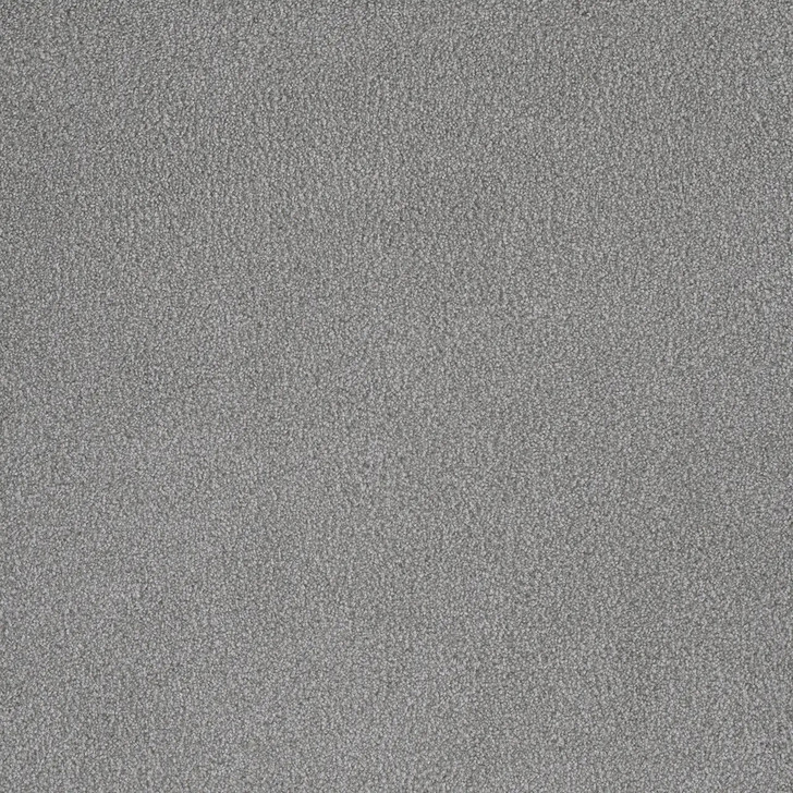 Dreamweaver Palmetto II Residential Carpet