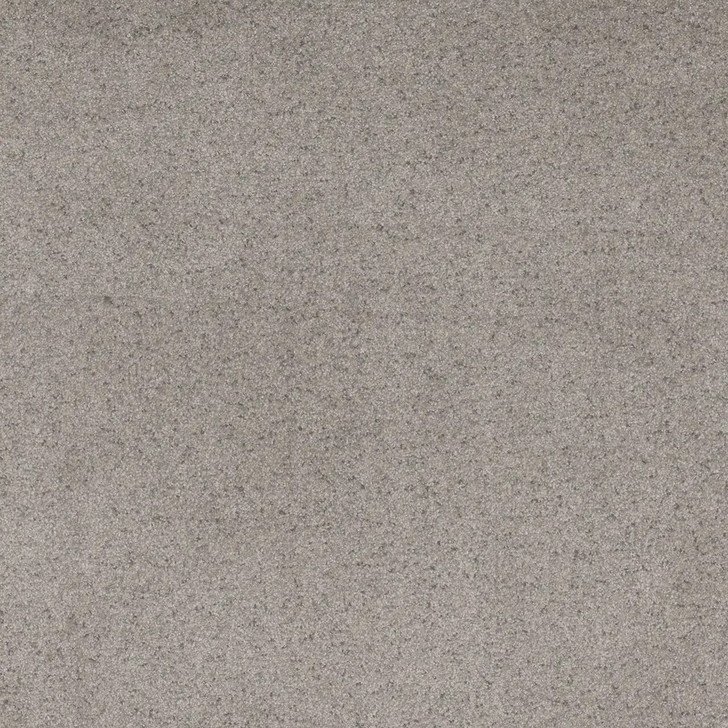 Buy Dreamweaver Serene I Residential Carpet at Georgia Carpet for