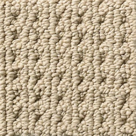 Anderson Tuftex San Lucas ZZ095 Residential Carpet