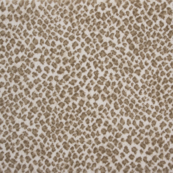 Stanton Dream Zaza Residential Carpet