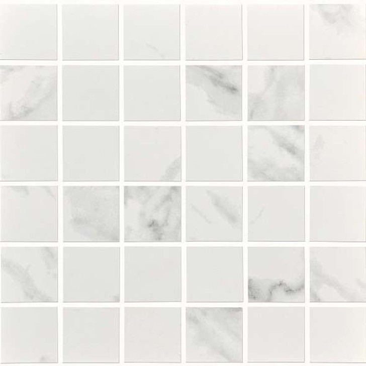 Shaw Universe Mosaic 265TS Tile