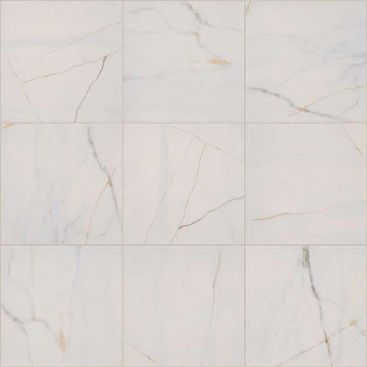 Shaw Universe 22" x 22" 478TS Tile