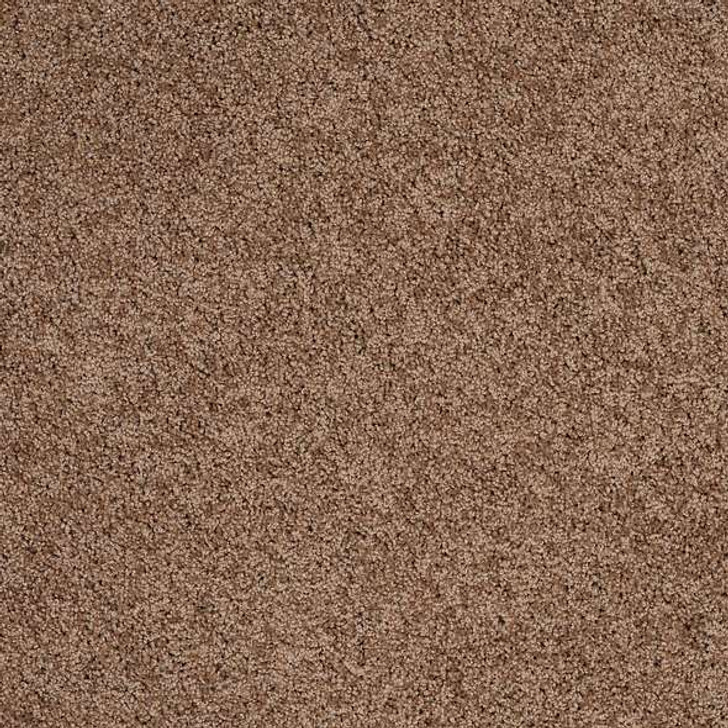 Shaw Anso Colorwall Designer Twist Gold EA090 Residential Carpet