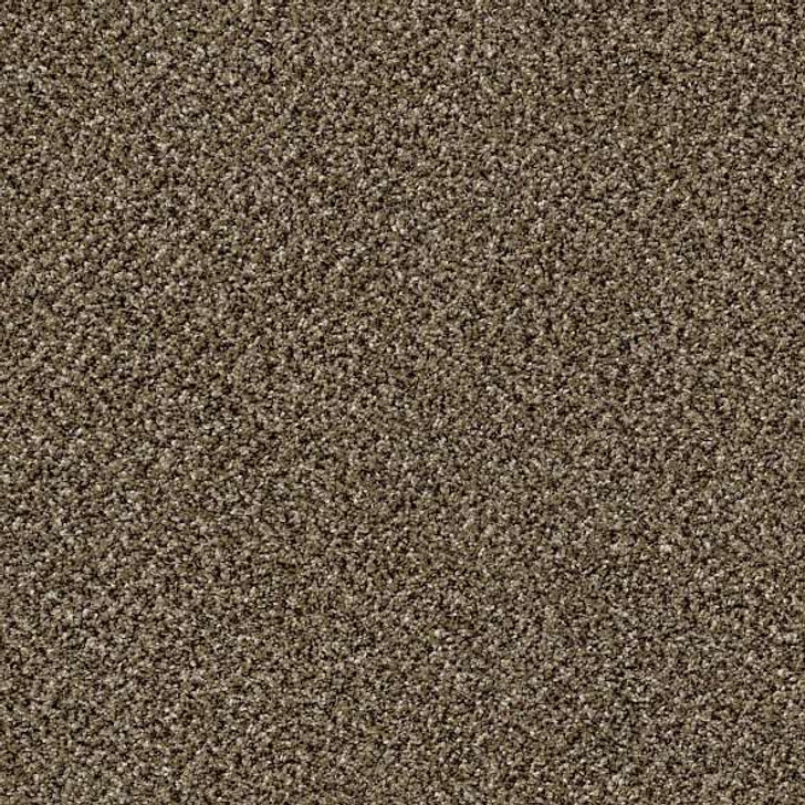  Shaw Because We Can III 15' E9288 Residential Carpet