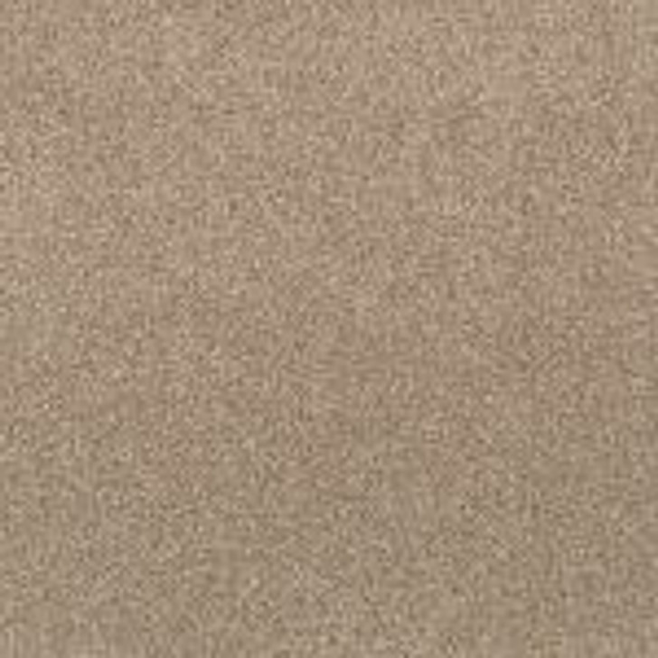  Anderson Tuftex Via Nova ZZ276 Residential Carpet