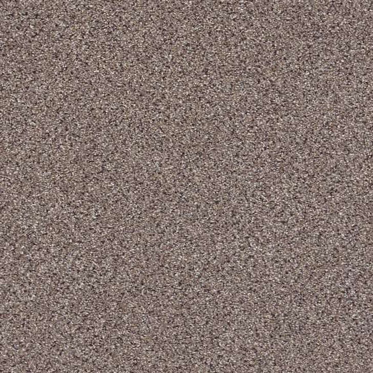  Shaw Gold Texture Accents EA759 Residential Carpet