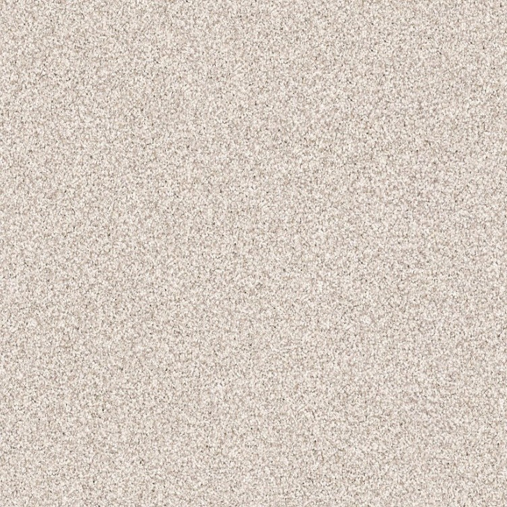 Shaw Exploration Foundation EA701 Residential Carpet