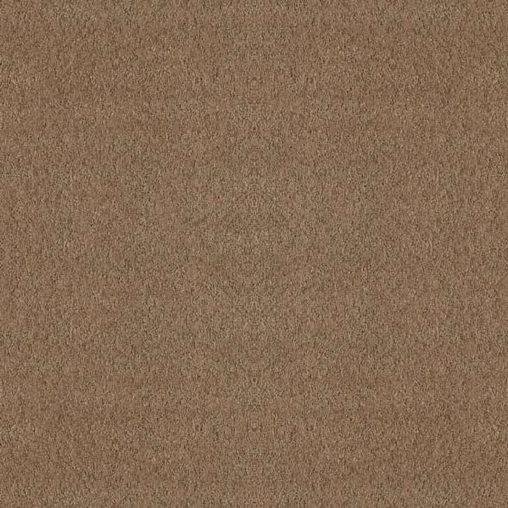 Shaw Foundations Alluring Canvas 5E445 Residential Carpet