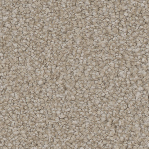 Buy Tarkett Mesmerize Residential Carpet at Georgia Carpet for a