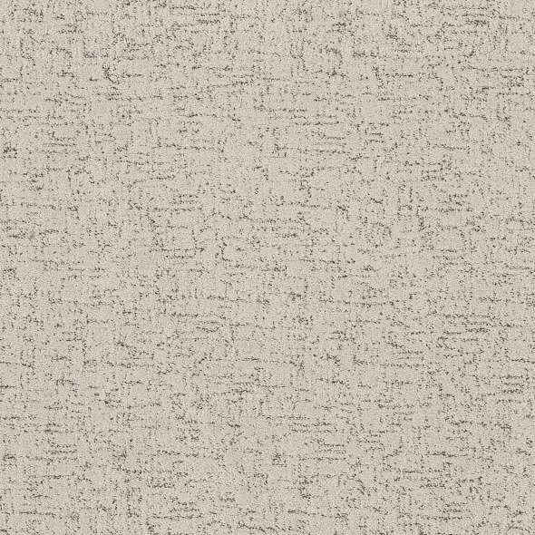 Shaw Pet Perfect Run Free 5E588 Residential Carpet is Available