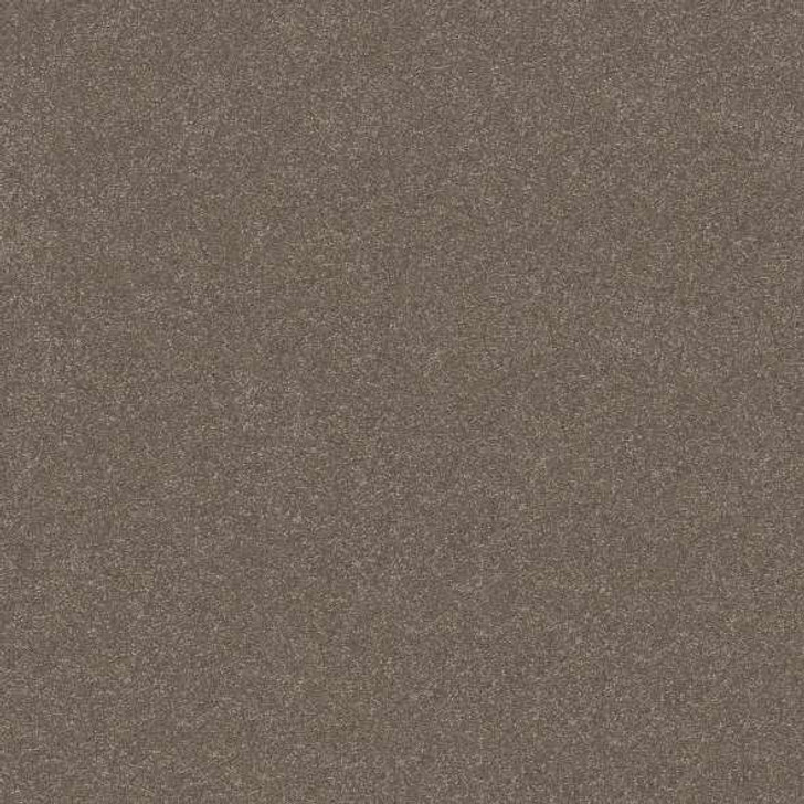 Shaw Hard At Play II 15' Residential Carpet ( 5E581)