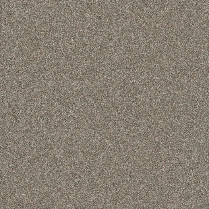Buy Dreamweaver Silver Lining IV 7533 Residential Carpet at