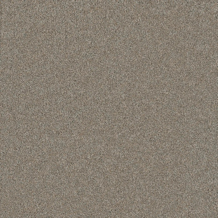 Dreamweaver Silver Lining IV 7533 Residential Carpet