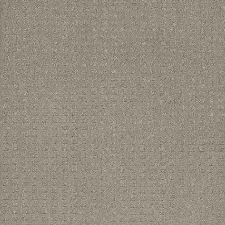 Dreamweaver Superb 2225 Residential Carpet 