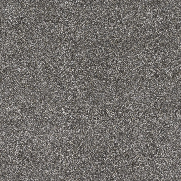 Buy Dreamweaver Gold Standard II 4056 Residential Carpet at